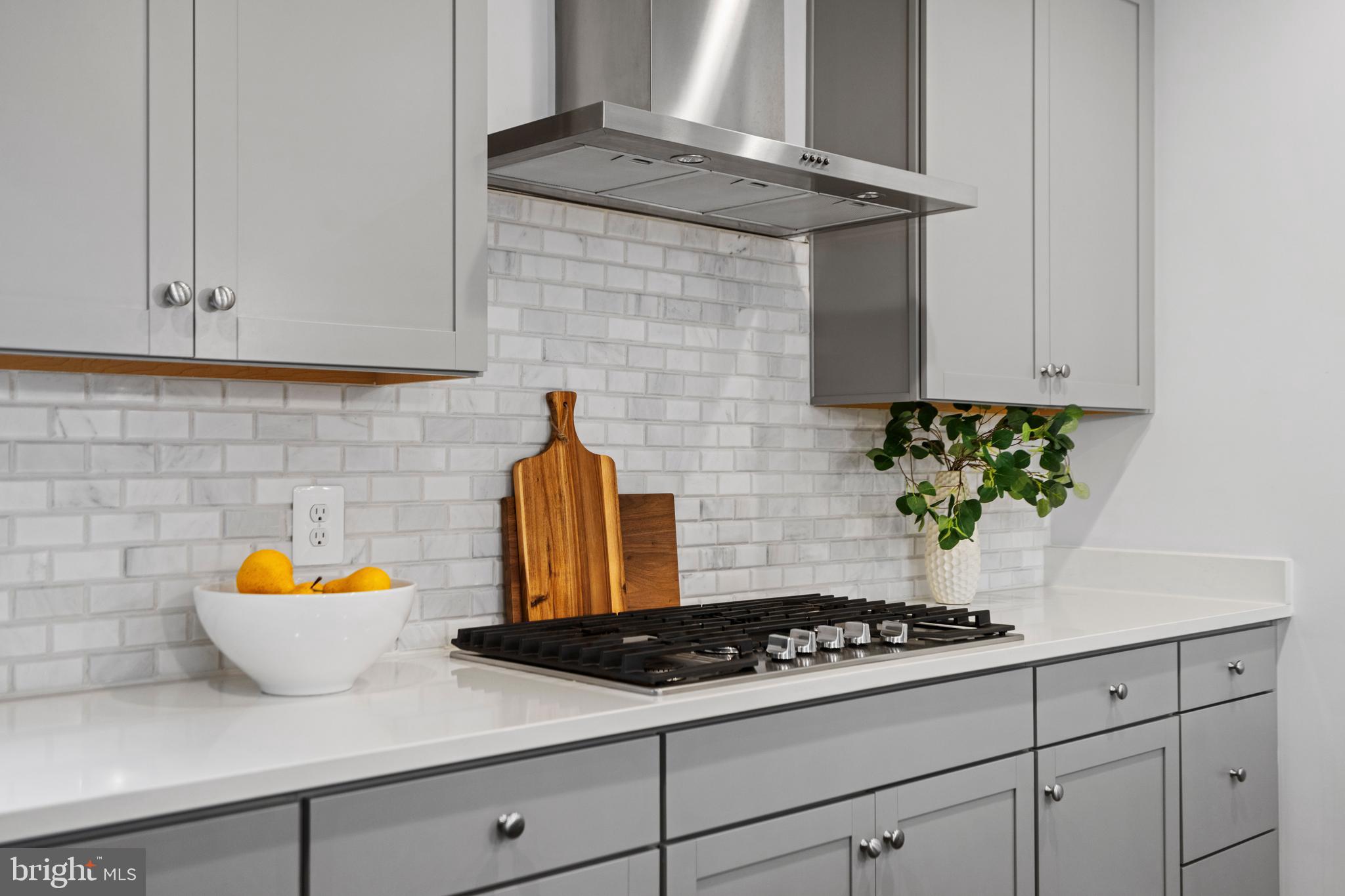 42064 Creighton Road Brambleton, VA 20148 - Photo 10 of 56 Custom Backsplash & Stunning Range Hood