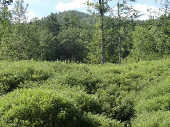 468 Town House Road Effingham, NH 03882 - Photo 13 of 31 Gallery Image 13