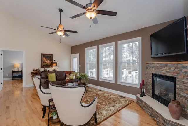 a living room with furniture and a potted plant