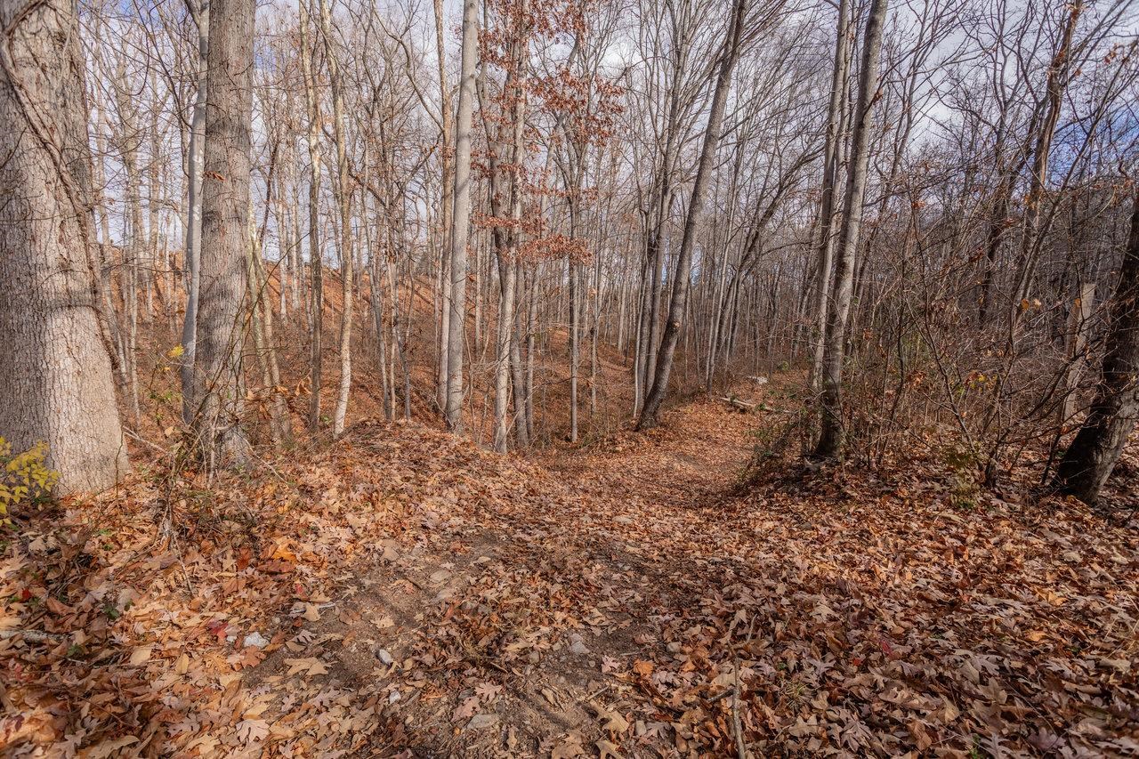 50 Harriston Road Grottoes, VA 24441 - Photo 64 of 74 Gallery Image 64