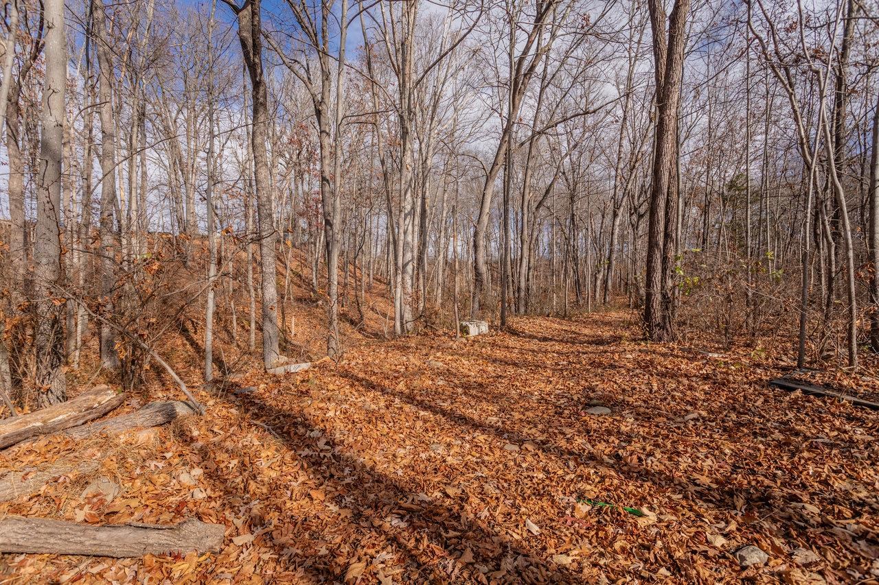 50 Harriston Road Grottoes, VA 24441 - Photo 65 of 74 Gallery Image 65