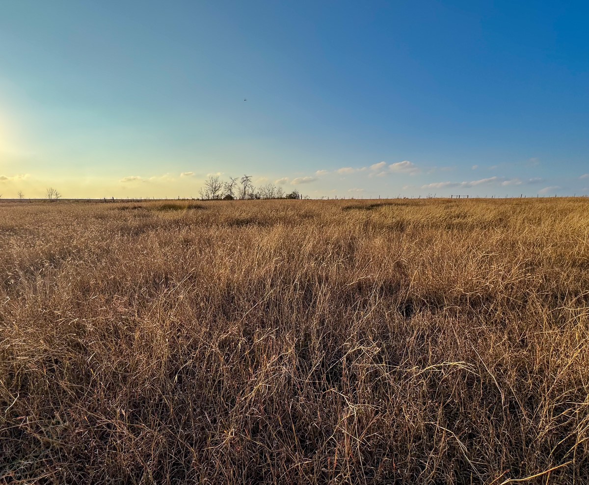 5895 Farek-Loth Road Schulenburg, TX 78956 - Photo 12 of 15 a view of an ocean