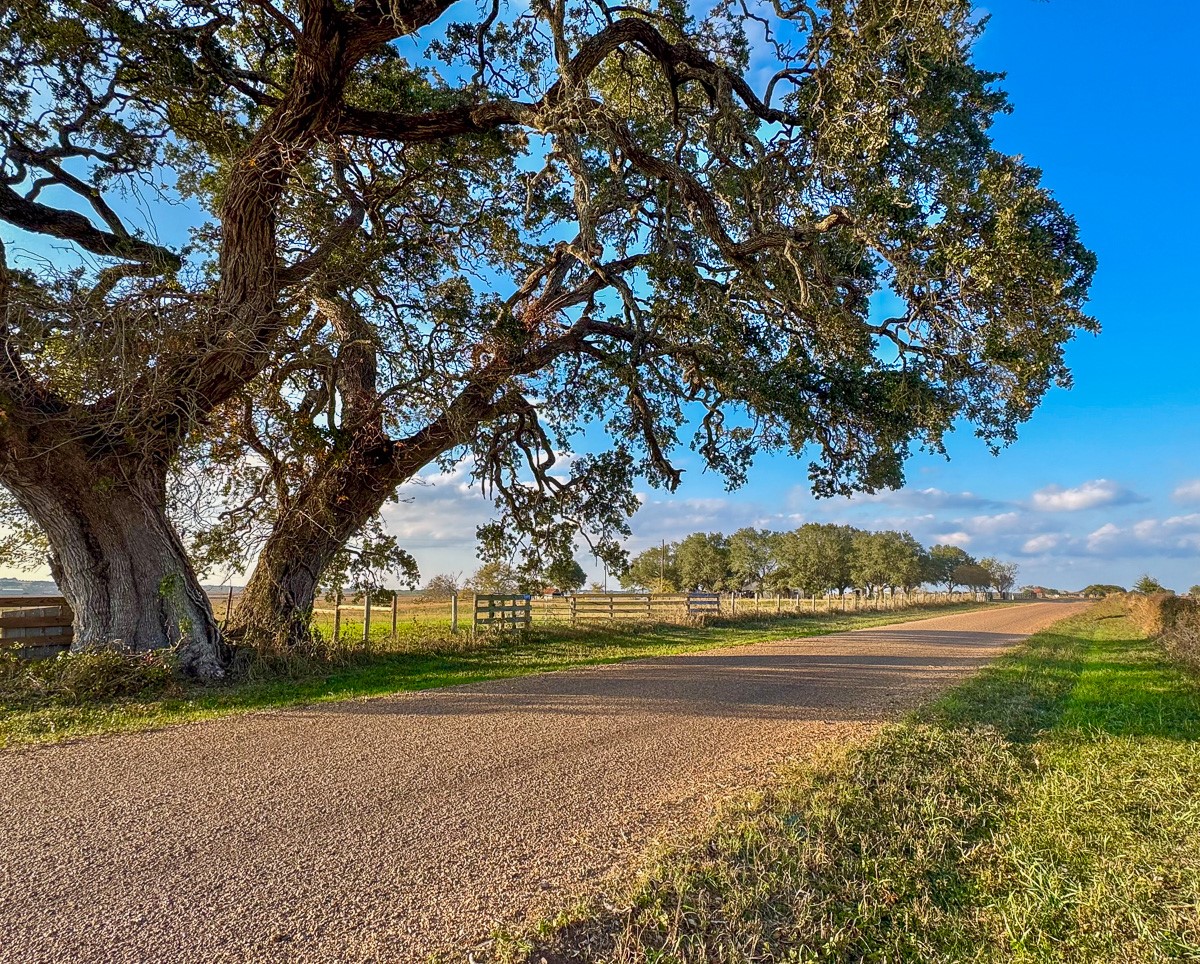 5895 Farek-Loth Road Schulenburg, TX 78956 - Photo 6 of 15 a view of yard with green space and trees