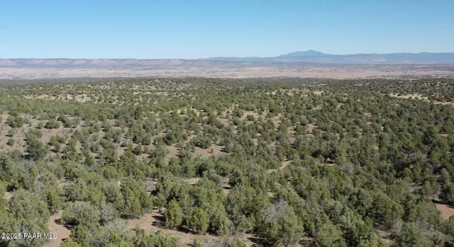 a view of city and mountain