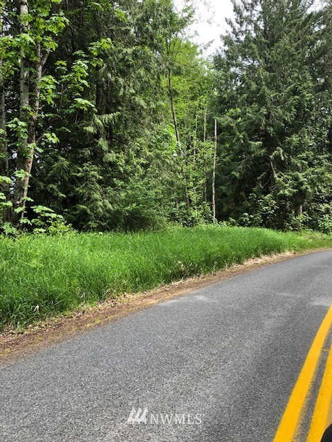 9400 Stringtown Road East Eatonville, WA 98328 - Photo 3 of 9