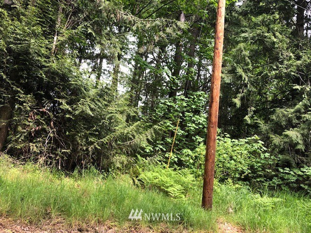 9400 Stringtown Road East Eatonville, WA 98328 - Photo 5 of 9