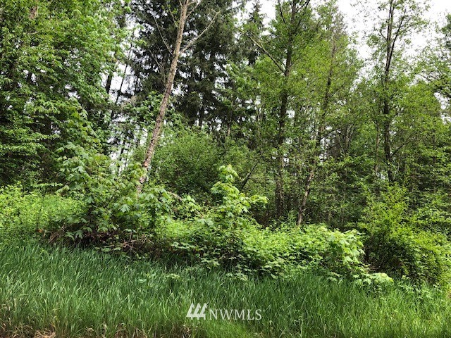 9400 Stringtown Road East Eatonville, WA 98328 - Photo 6 of 9