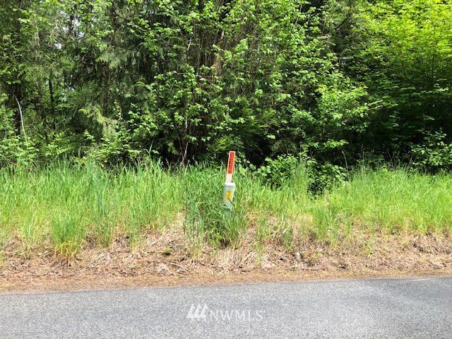 9400 Stringtown Road East Eatonville, WA 98328 - Photo 8 of 9