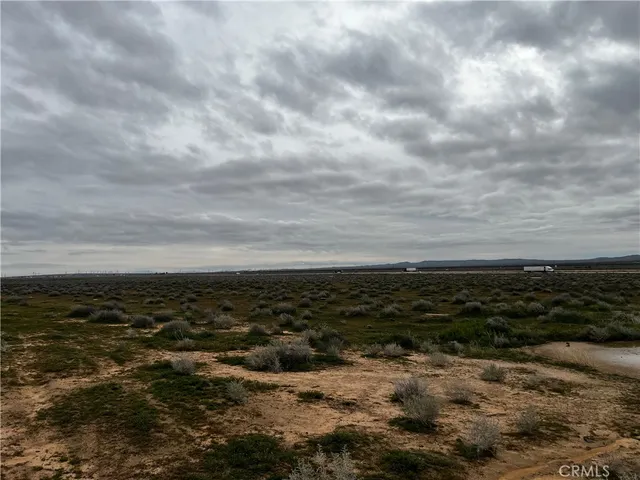 a view of a large body of water with lots of trees in all around