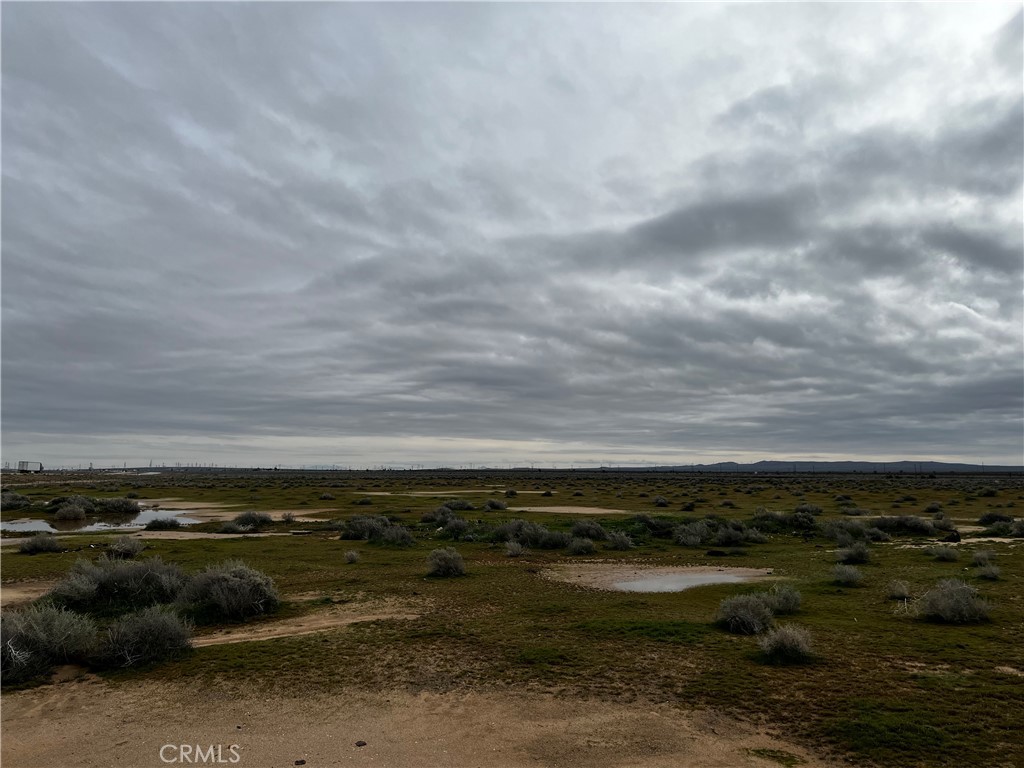 0 Kramer Station Road Boron, CA 93516 - Photo 12 of 19 a view of a large body of water with lots of trees in all around
