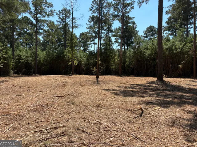 a view of a tree with a yard