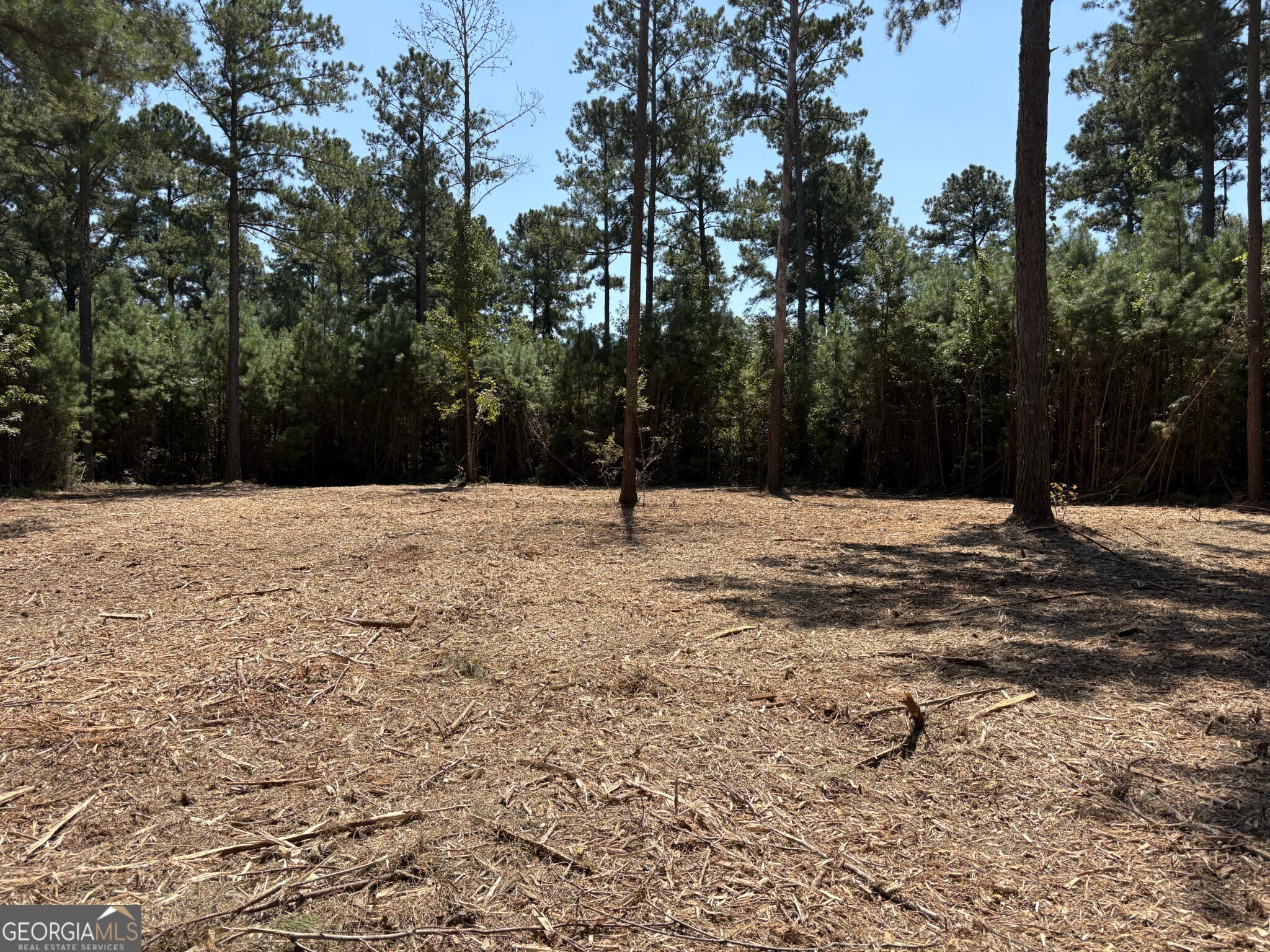 Tracts 1-5 Old Rumble Road Forsyth, GA 31029 - Photo 1 of 9