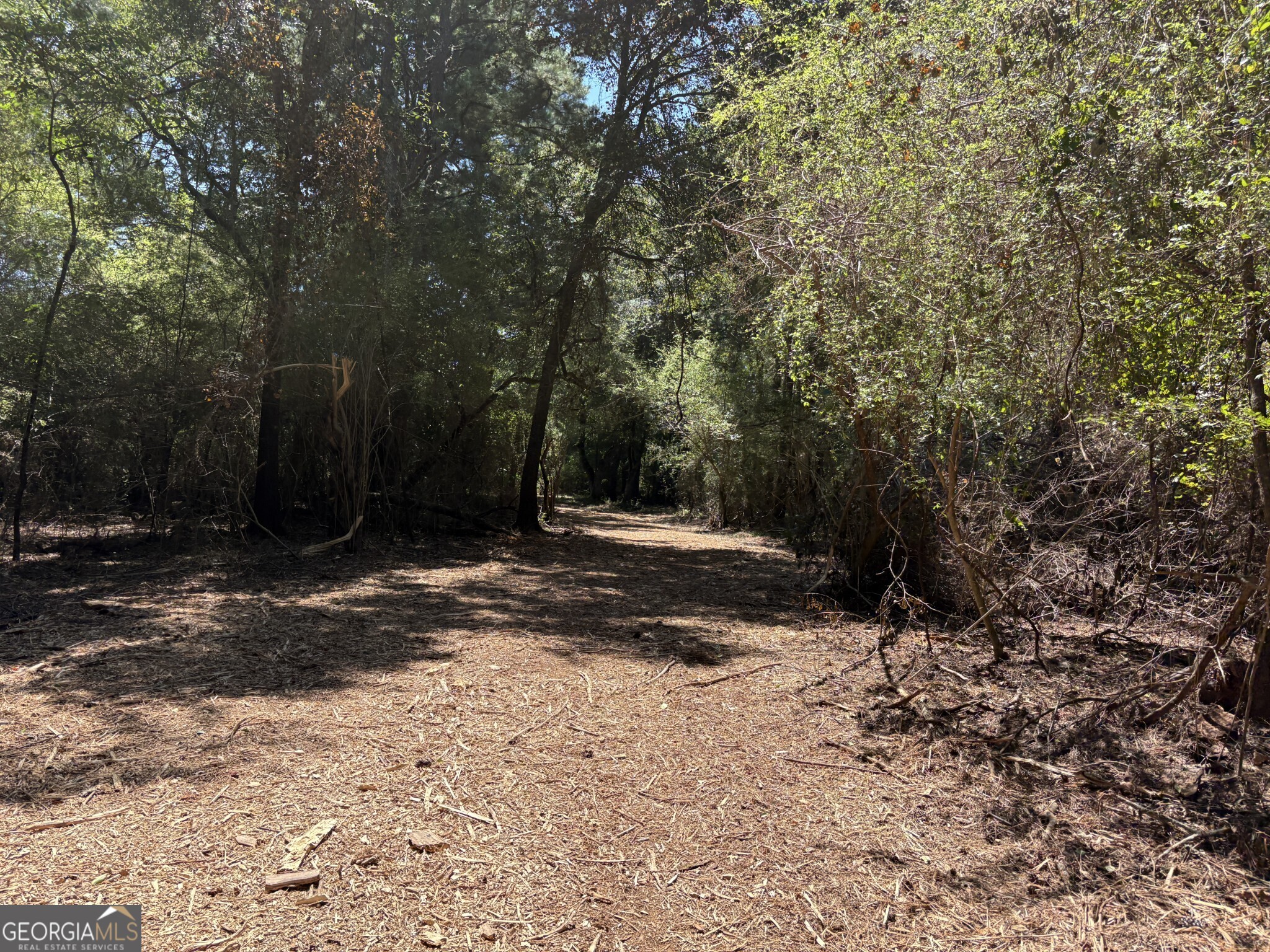 Tracts 1-5 Old Rumble Road Forsyth, GA 31029 - Photo 2 of 9 a view of a tree with a yard