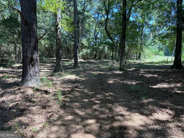 a view of a backyard