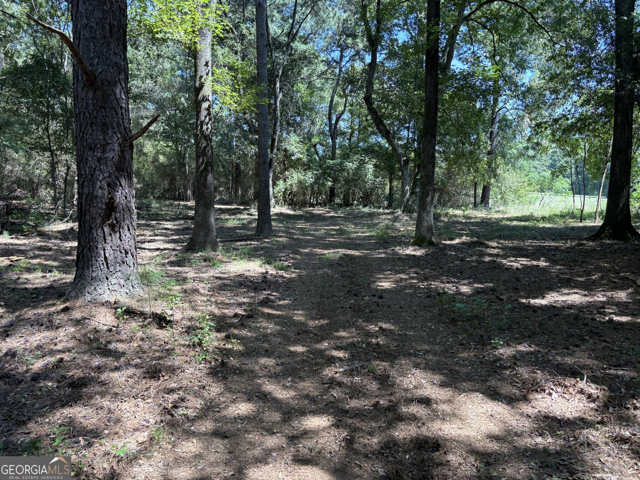 Tracts 1-5 Old Rumble Road Forsyth, GA 31029 - Photo 3 of 9 a view of a tree in a yard