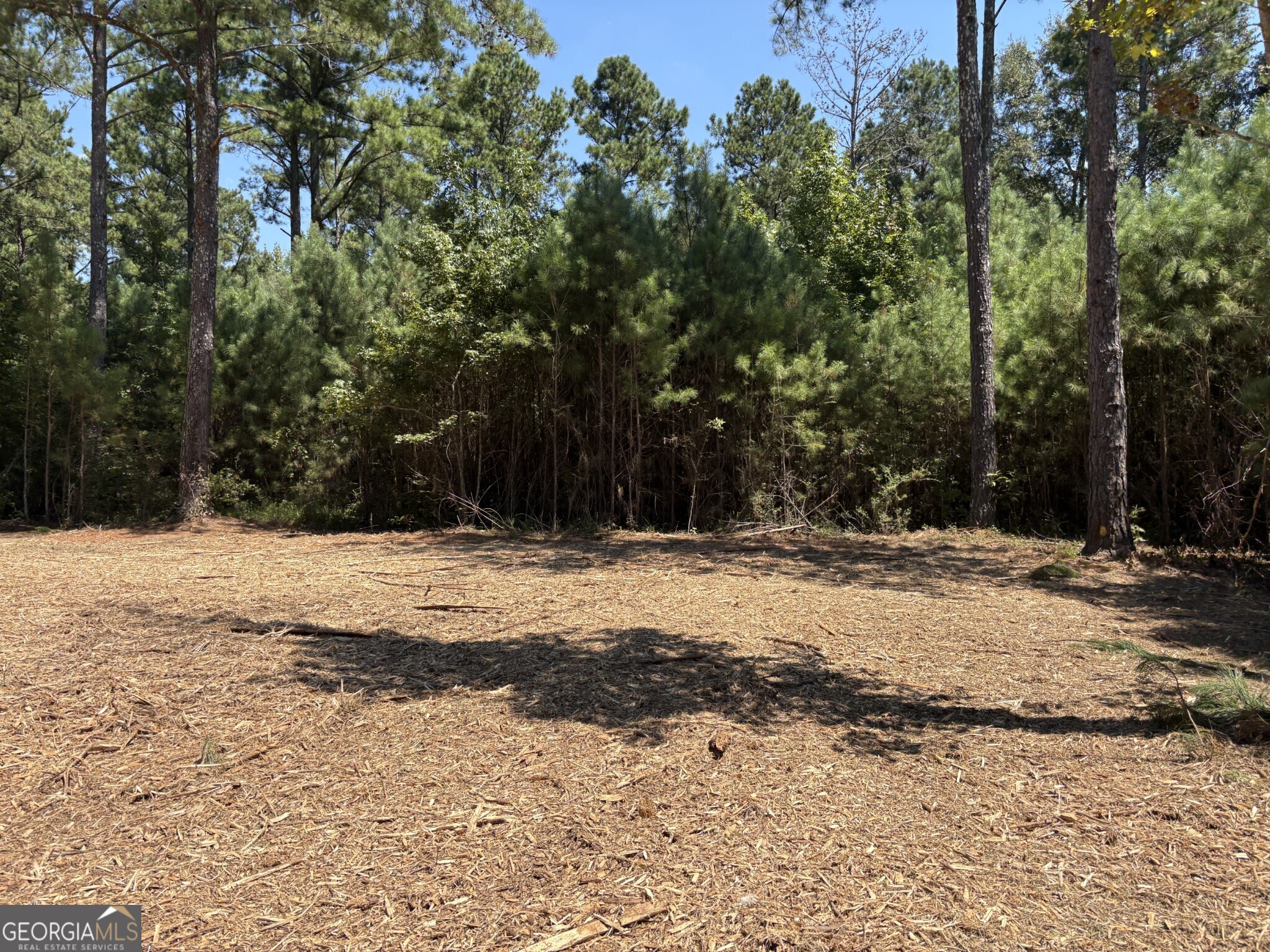 Tracts 1-5 Old Rumble Road Forsyth, GA 31029 - Photo 4 of 9