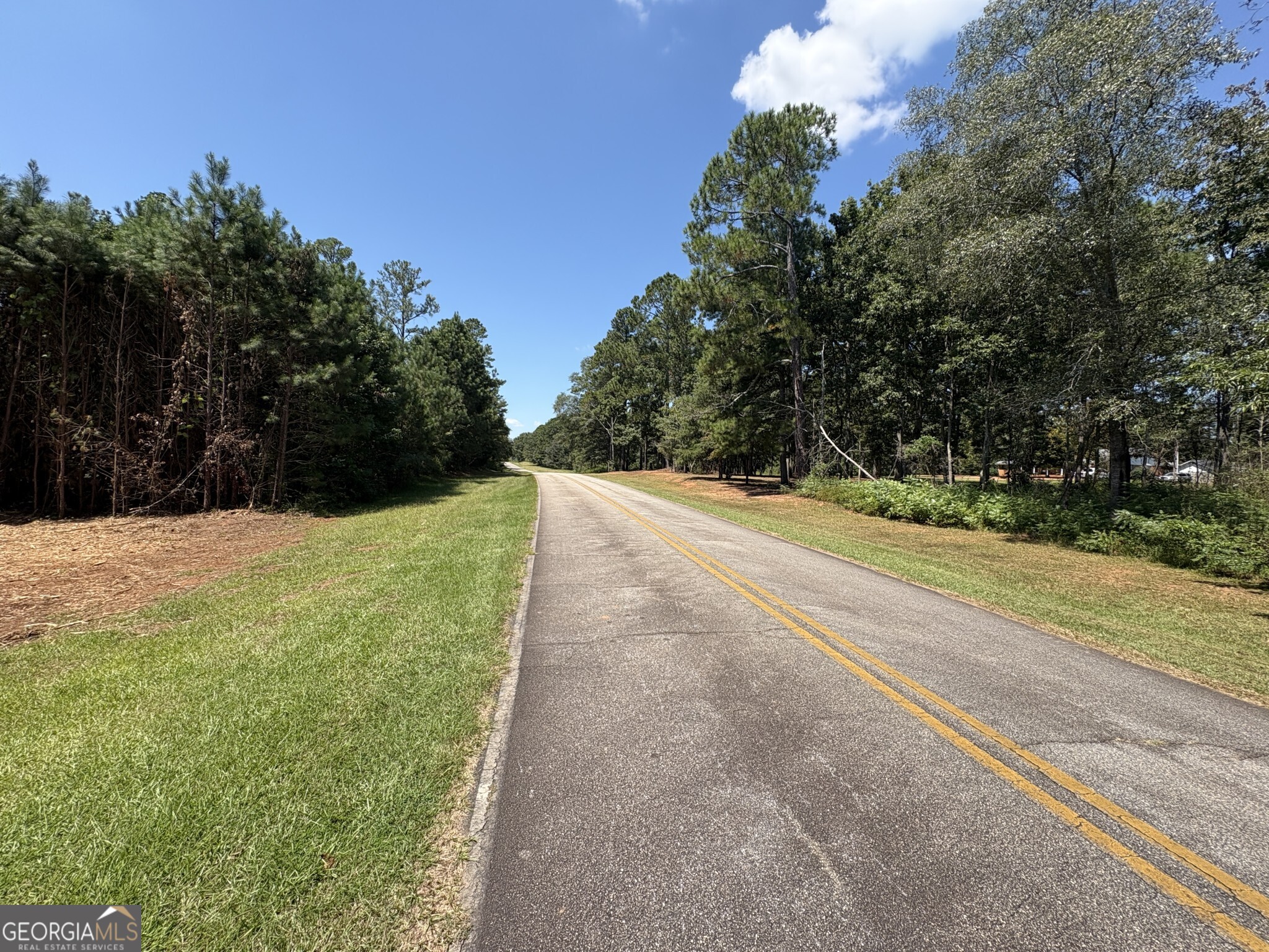Tracts 1-5 Old Rumble Road Forsyth, GA 31029 - Photo 5 of 9 a view of a backyard