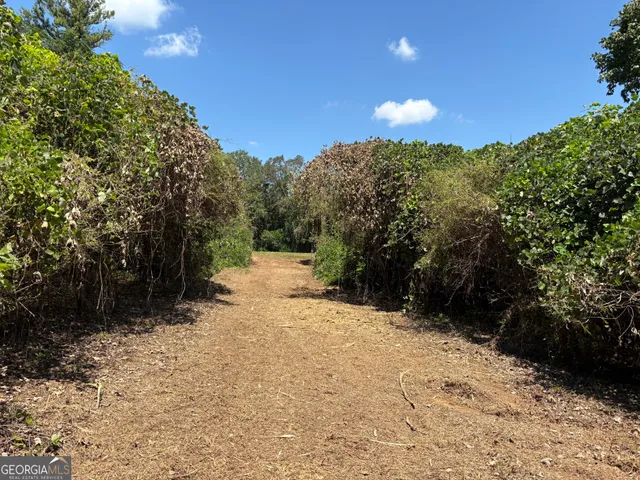 $149,000 | Tracts 1-5 Old Rumble Road, Forsyth, GA 31029