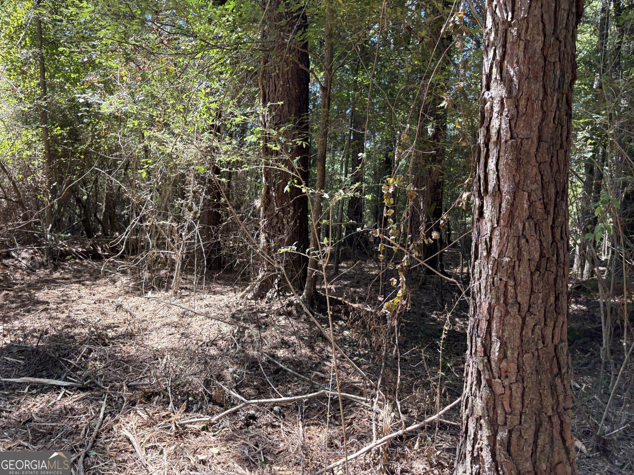 Tracts 1-5 Old Rumble Road Forsyth, GA 31029 - Photo 8 of 9