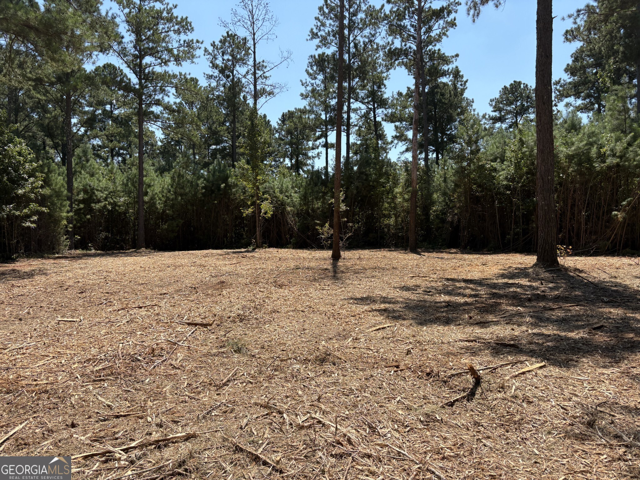 Tracts 1-5 Old Rumble Road Forsyth, GA 31029 - Photo 9 of 9