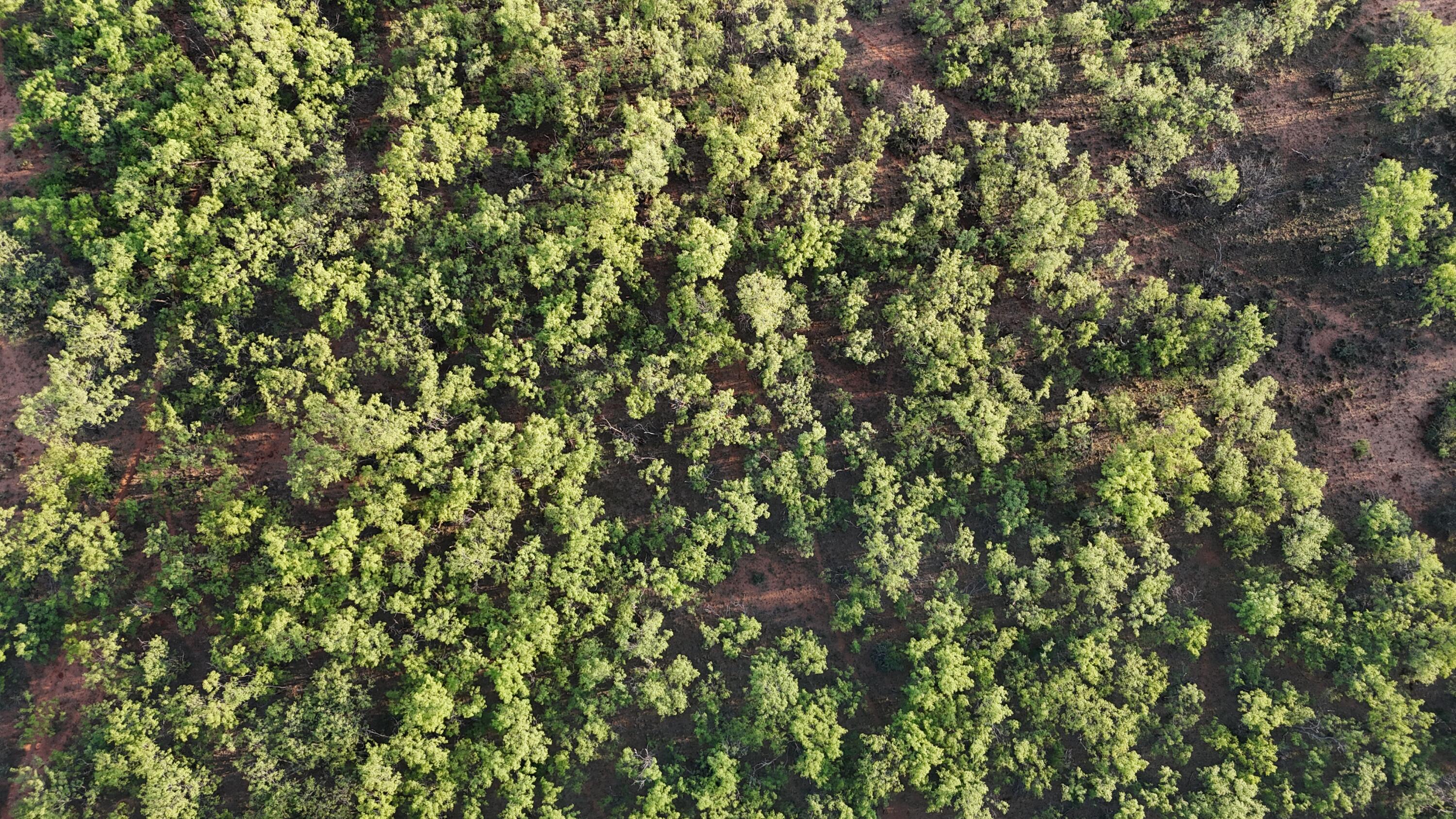 92 Texas Hamlin, TX 79520 - Photo 26 of 63 DJI_20260528073629_0109_D