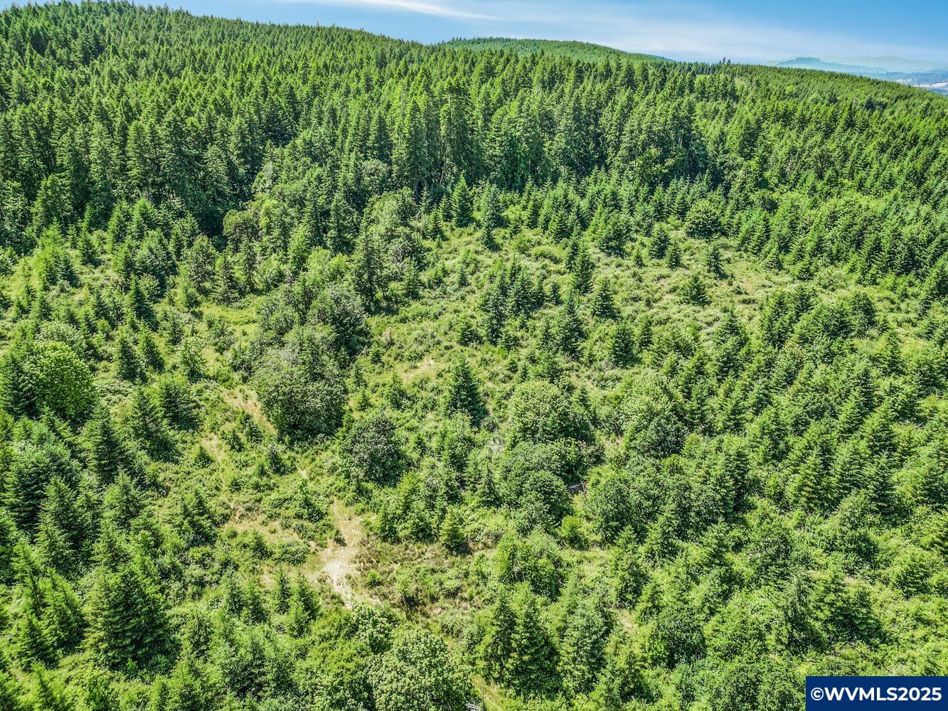 0 Gooseneck Road Sheridan, OR 97378 - Photo 5 of 39