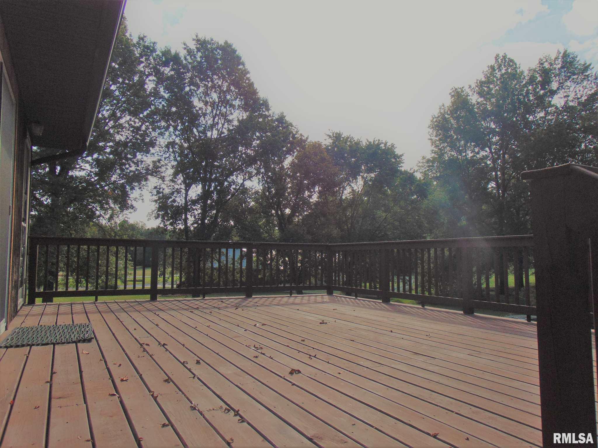 2031 Cochran Road Murphysboro, IL 62966 - Photo 3 of 38