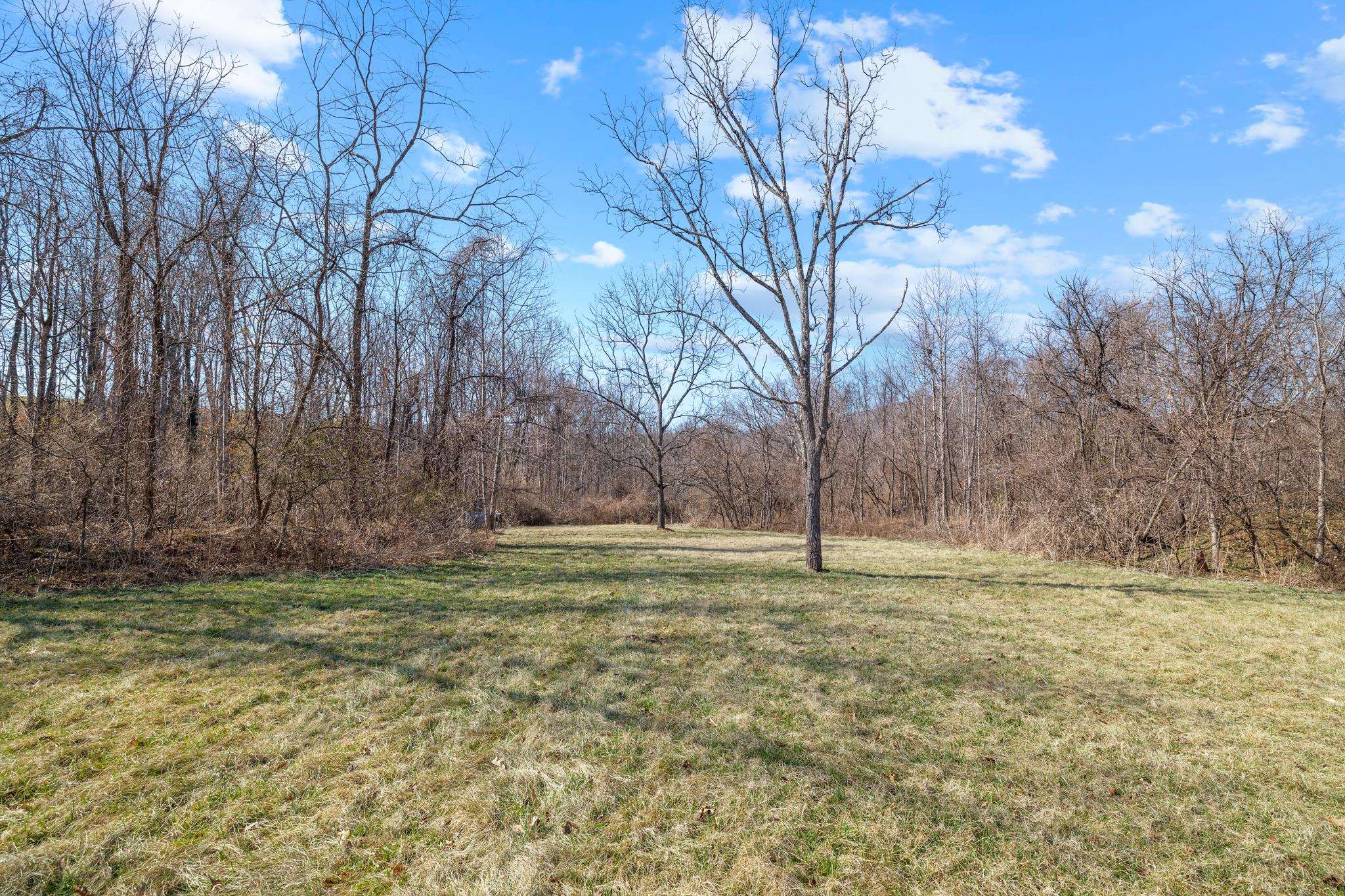 850 Greenwood Road Crozet, VA 22932 - Photo 50 of 75
