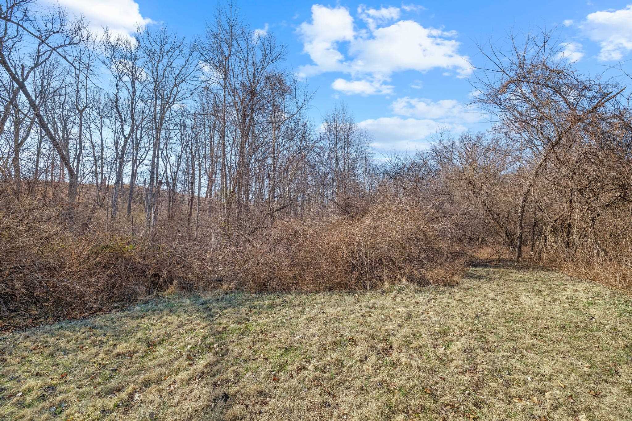 850 Greenwood Road Crozet, VA 22932 - Photo 52 of 75