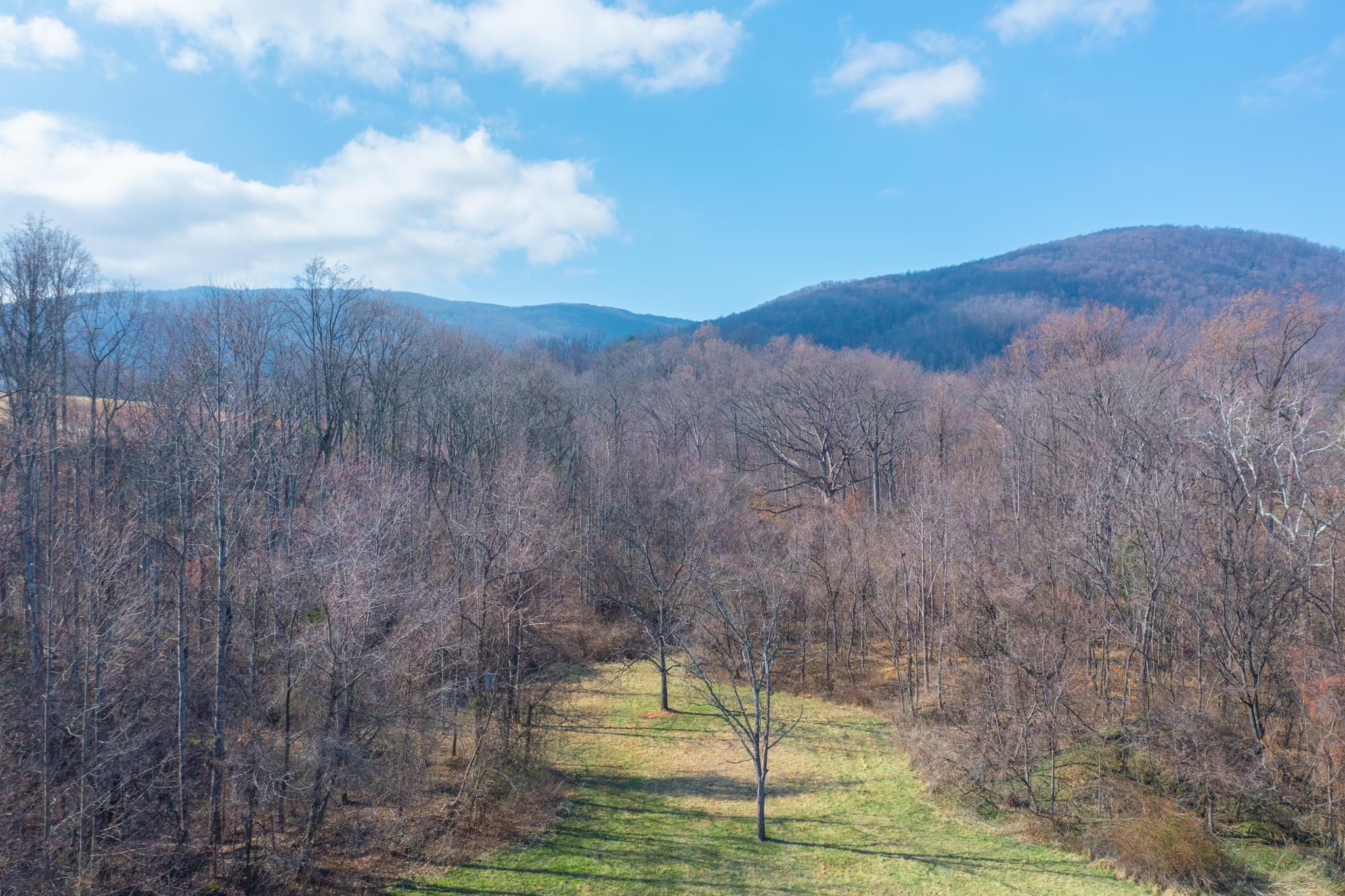 850 Greenwood Road Crozet, VA 22932 - Photo 64 of 75
