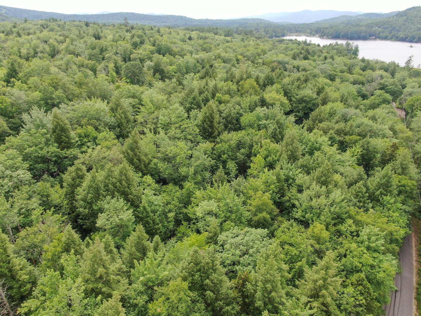 Tbd Rocky Road Bryant Pond, ME 04219 - Photo 11 of 17 DJI_0131_1440x1080