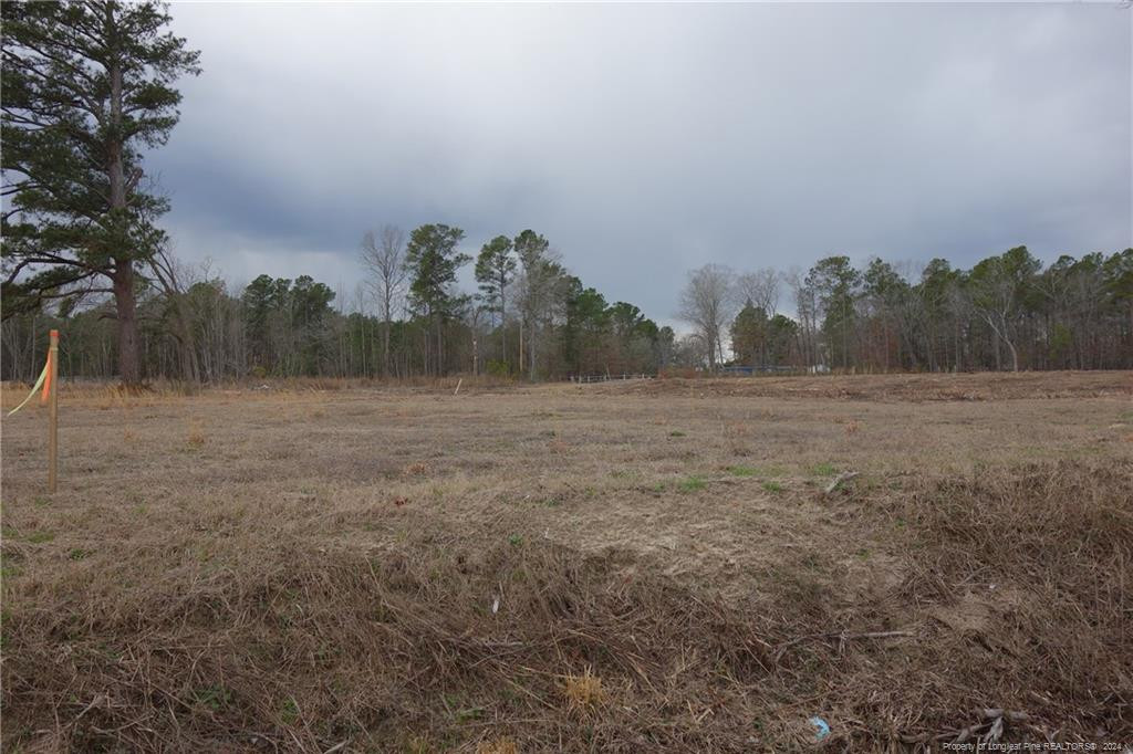 5 Odum Road Lumberton, NC 28360 - Photo 1 of 2 Photo 1