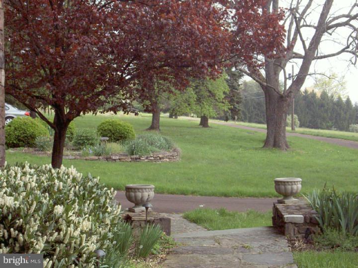 4380 Wismer Road Doylestown, PA 18902 - Photo 22 of 24 Side Yard
