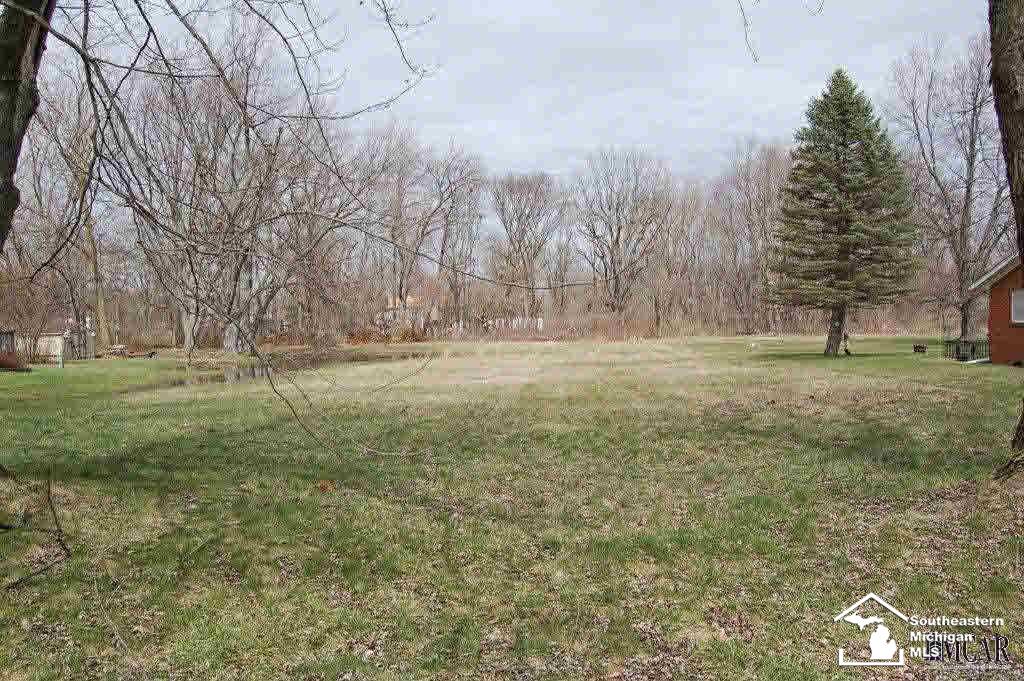 0 Pickard Road Temperance, MI 48182 - Photo 7 of 8