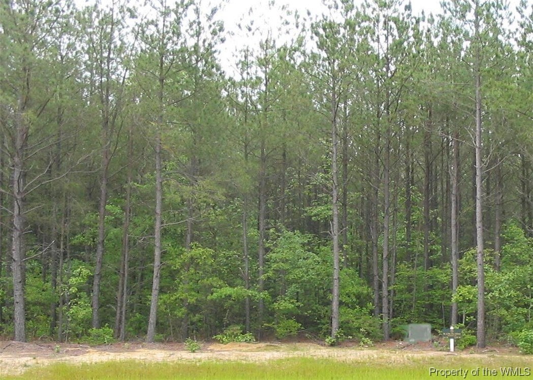 Lot 45 Beach Road Williamsburg, VA 23185 - Photo 1 of 5 Gallery Image 1