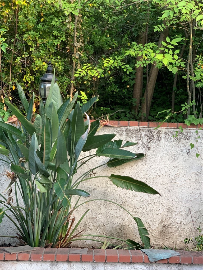 5246 Calderon Road Woodland Hills, CA 91364 - Photo 28 of 50 a view of a garden with plants