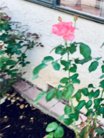 a view of a livingroom with furniture and floor to ceiling window