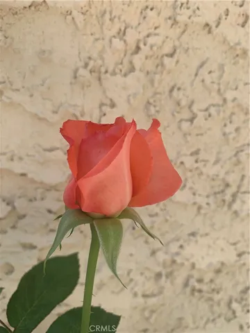 $4,695 | 5246 Calderon Road, Woodland Hills, CA 91364