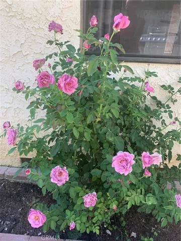 $4,695 | 5246 Calderon Road, Woodland Hills, CA 91364