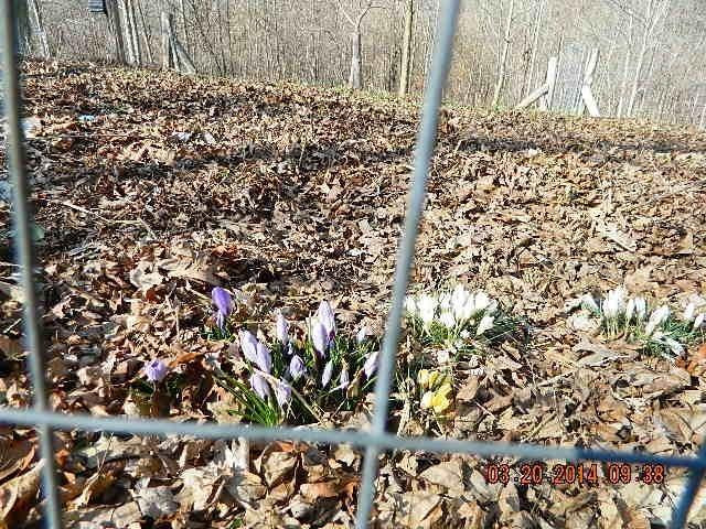 820 New Fox Road Irvine, KY 40336 - Photo 58 of 64 Photo 58