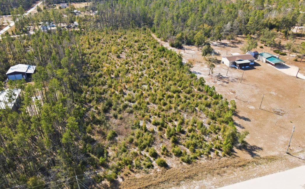 Tbd Ocean Pond Road Perry, FL 32348 - Photo 8 of 9