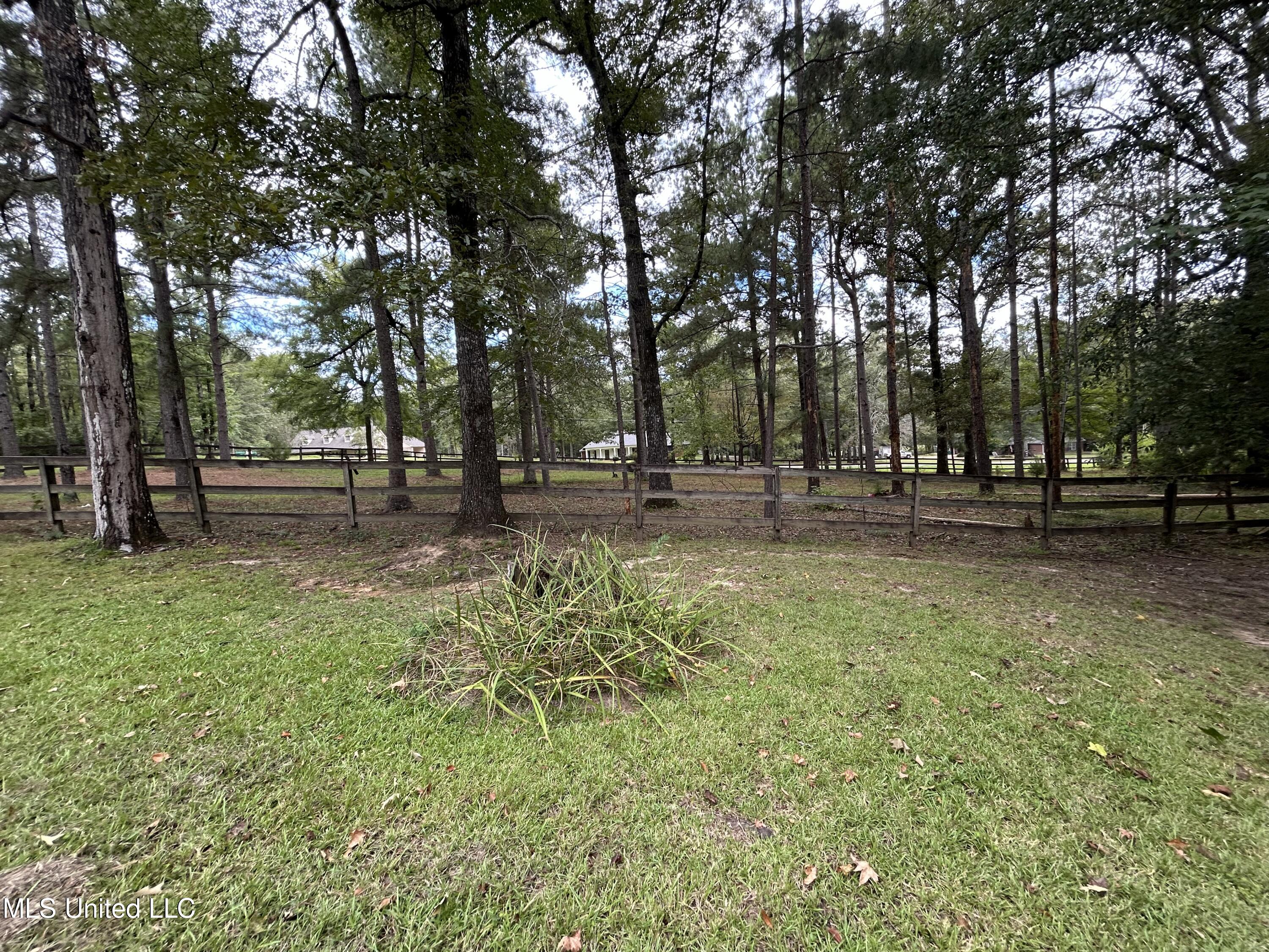 1515 West Flowers Road Terry, MS 39170 - Photo 33 of 34 IMG_0008