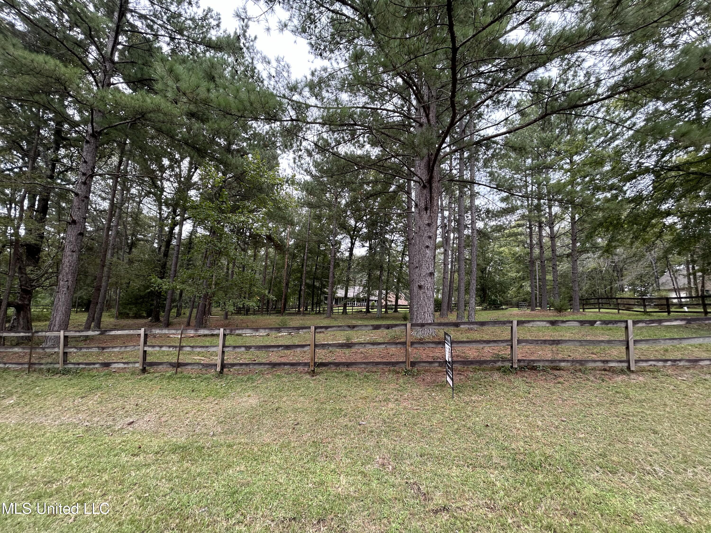 1515 West Flowers Road Terry, MS 39170 - Photo 34 of 34 IMG_0011