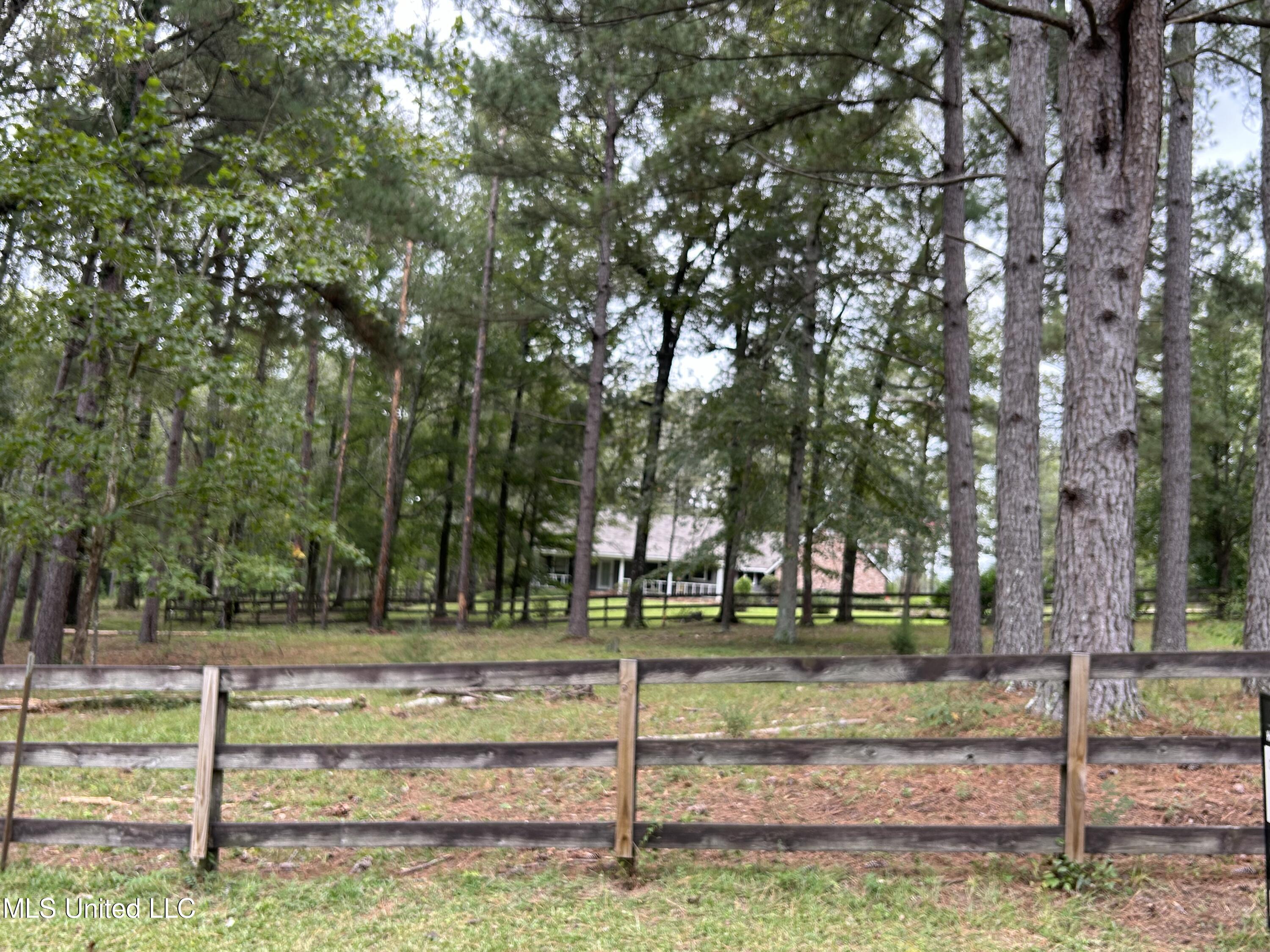1515 West Flowers Road Terry, MS 39170 - Photo 6 of 34 IMG_0010