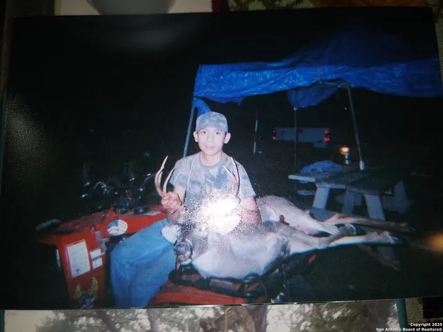 a view of a potted plants in middle of the yard