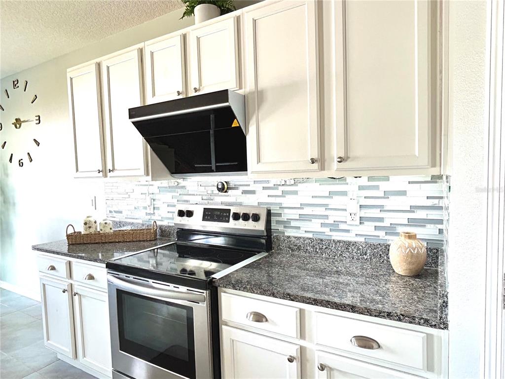 3048 Bethpage Loop Mount Dora, FL 32757 - Photo 12 of 55
