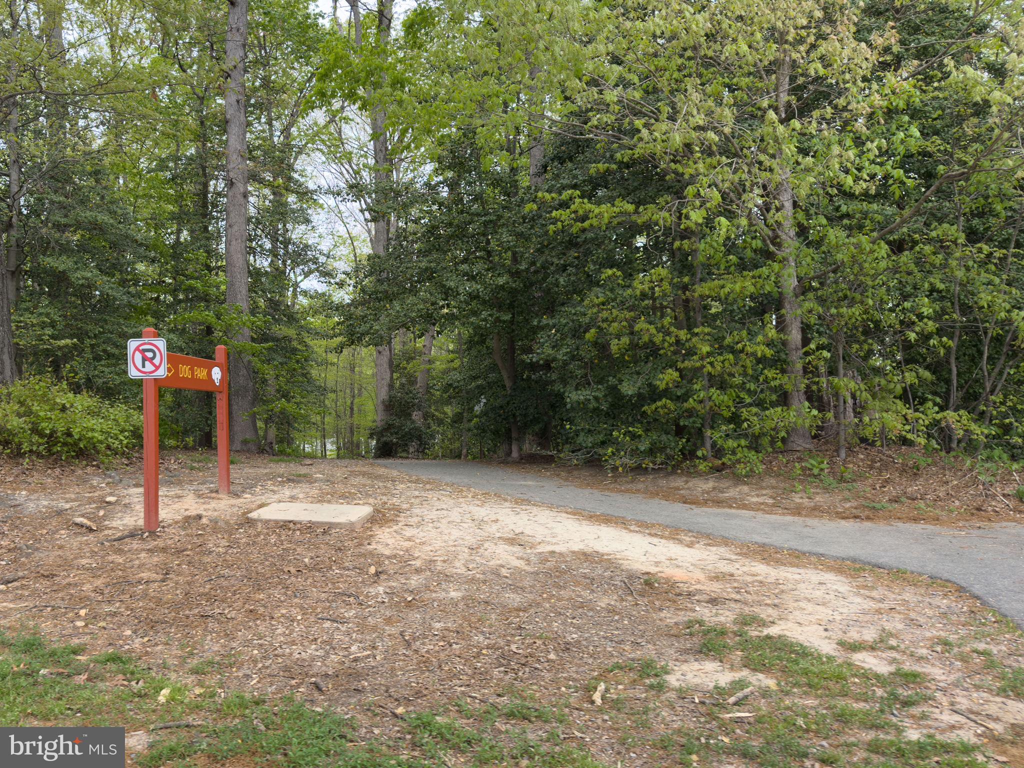 7700 Gralnick Place Springfield, VA 22153 - Photo 59 of 62 Walking Trails