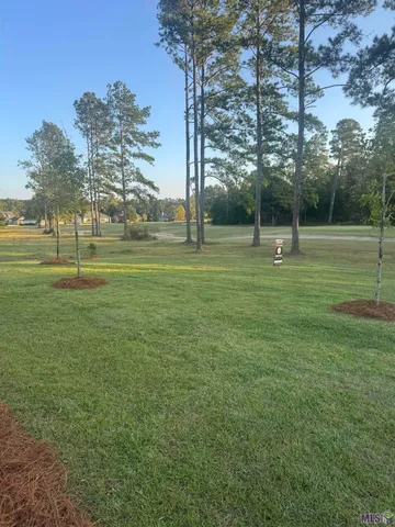 $409,000 | 30652 Blue Wing Crescent, Springfield, LA 70462