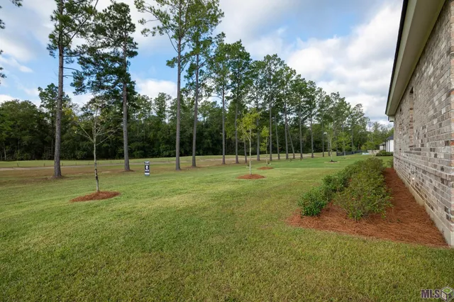 $409,000 | 30652 Blue Wing Crescent, Springfield, LA 70462