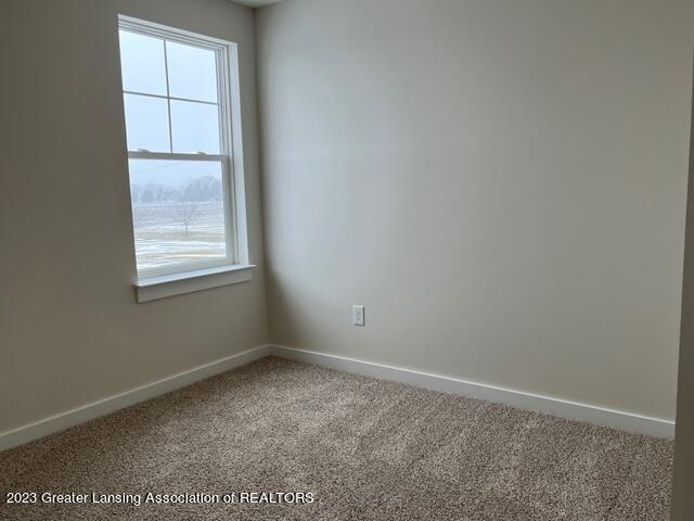 3145 Wildcat Road St. Johns, MI 48879 - Photo 58 of 60 IMG_9337